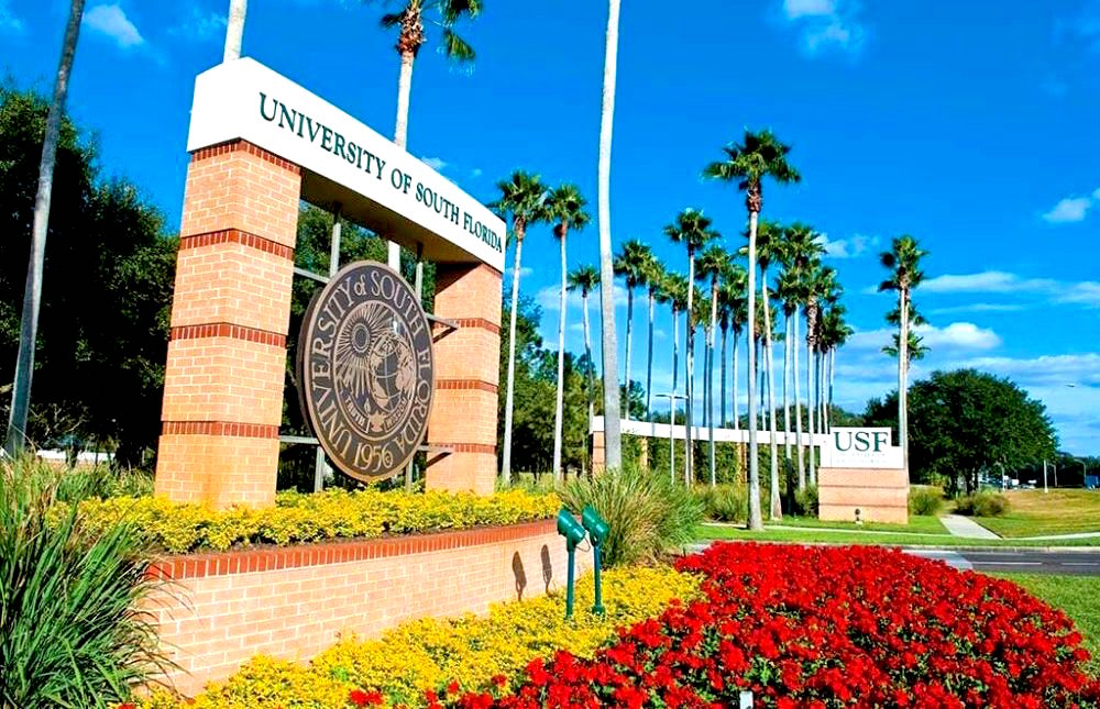 University of South Florida