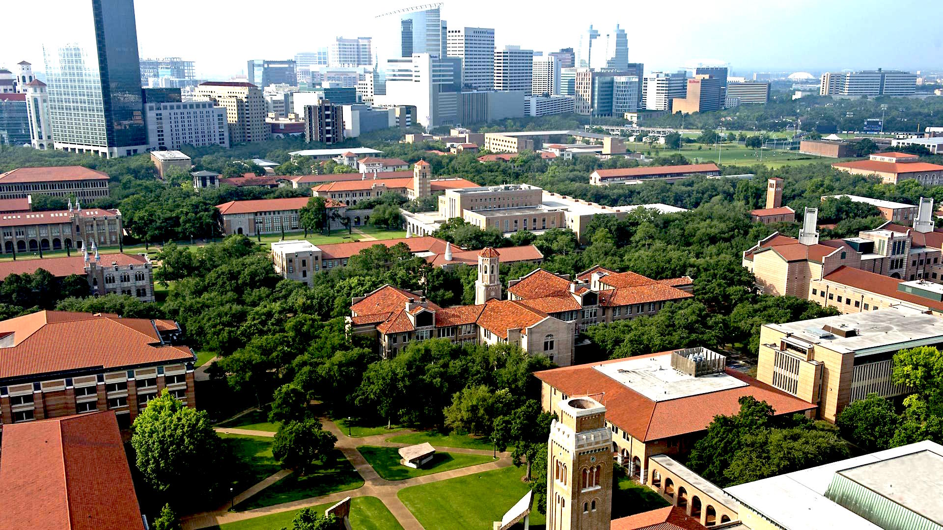 Rice University